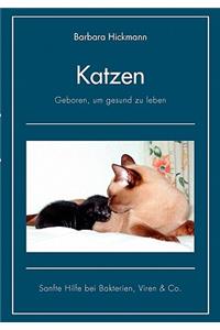 Katzen - geboren, um gesund zu leben