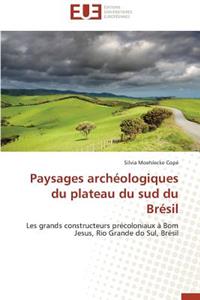 Paysages Archéologiques Du Plateau Du Sud Du Brésil