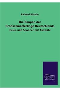 Die Raupen der Großschmetterlinge Deutschlands