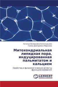 Mitokhondrial'naya Lipidnaya Pora, Indutsirovannaya Pal'mitatom I Kal'tsiem