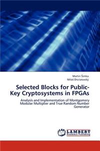 Selected Blocks for Public-Key Cryptosystems in FPGAs