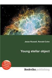 Young Stellar Object