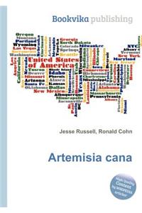 Artemisia Cana