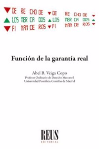 Funcion de la garantia real