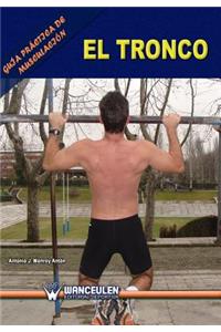 Guia practica de musculacion