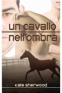 Un cavallo nell'ombra