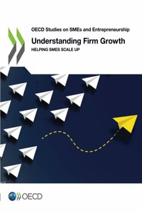 Understanding Firm Growth