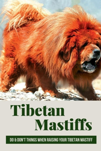 Tibetan Mastiffs