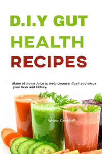 D.I.Y Gut Health Recipes