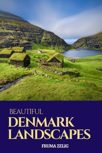 Beautiful Denmark Landscapes