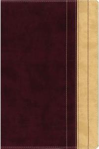 Thinline Reference Bible-NIV-Large Print