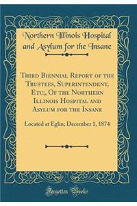 Third Biennial Report of the Trustees, Superintendent, Etc;, of the Northern Illinois Hospital and Asylum for the Insane: Located at Eglin; December 1, 1874 (Classic Reprint)