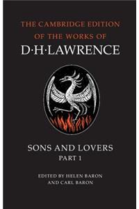 Complete Novels of D. H. Lawrence 11 Volume Paperback Set