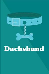 Dachshund