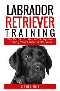 Labrador Retriever Training