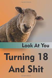 Look At You Turning 18 And Shit