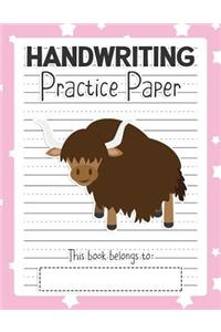 Handwriting Practice Paper
