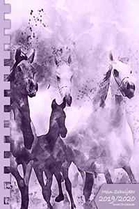 Mein Schuljahr 2019/2020