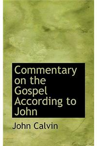 Commentary on the Gospel According to John