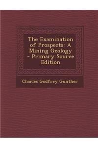 The Examination of Prospects: A Mining Geology