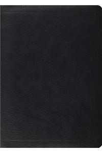 MacArthur Study Bible-ESV