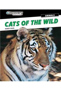 Cats of the Wild