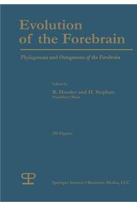 Evolution of the Forebrain