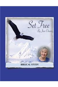 Set Free Study Guide