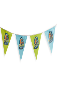 VBS 2019  String Pennants