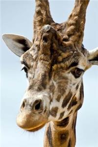 Mind Blowing Serious Journal