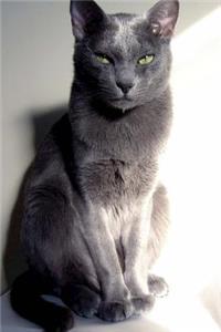 The Korat Cat Journal "Go Change My Litter Box. Now.": 150 page lined notebook/diary