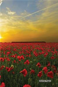 Journal Pages - Red Green Field