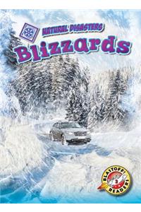 Blizzards