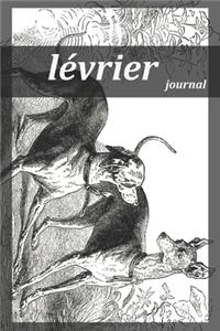 lévrier journal