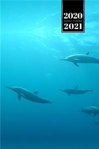 Dolphin Beluga Whale Porpoise Dolphinfish Week Planner Weekly Organizer Calendar 2020 / 2021 - Group Swimming