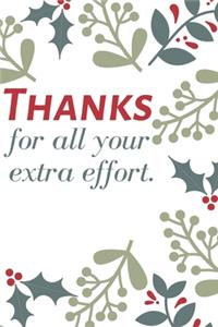 Thanks for all your extra effort.