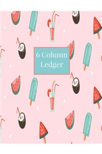 6 Column Ledger