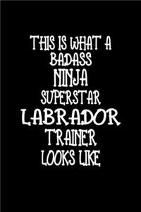 This Is What A Badass Ninja Superstar Labrador Trainer Looks Like