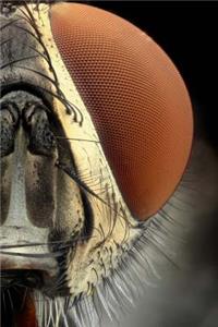 Eyes Notebook