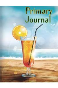 Primary Journal