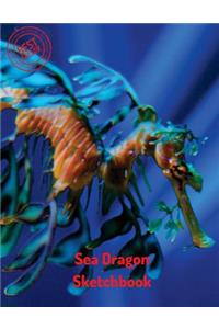 Sea Dragon Sketchbook