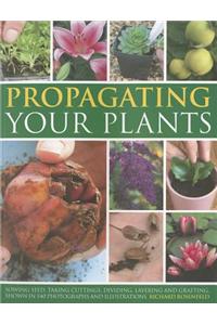 Propagating Your Plants