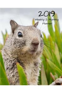 2019 Weekly and Monthly Planner