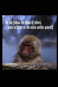 Do Not Follow the Ideas of Others, Learn to Listen to the Voice Within Yourself