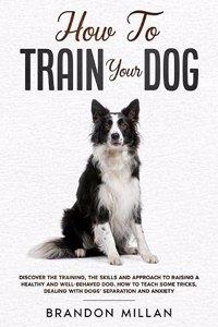 How to Train your Dog