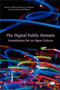 The Digital Public Domain