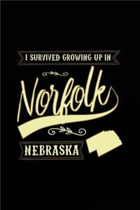 I Survived Growing Up In Norfolk Nebraska