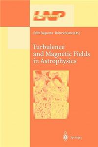 Turbulence and Magnetic Fields in Astrophysics
