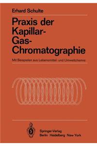 PRAXIS Der Kapillar-Gas-Chromatographie