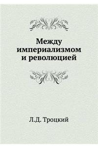 Между империализмом и революцией